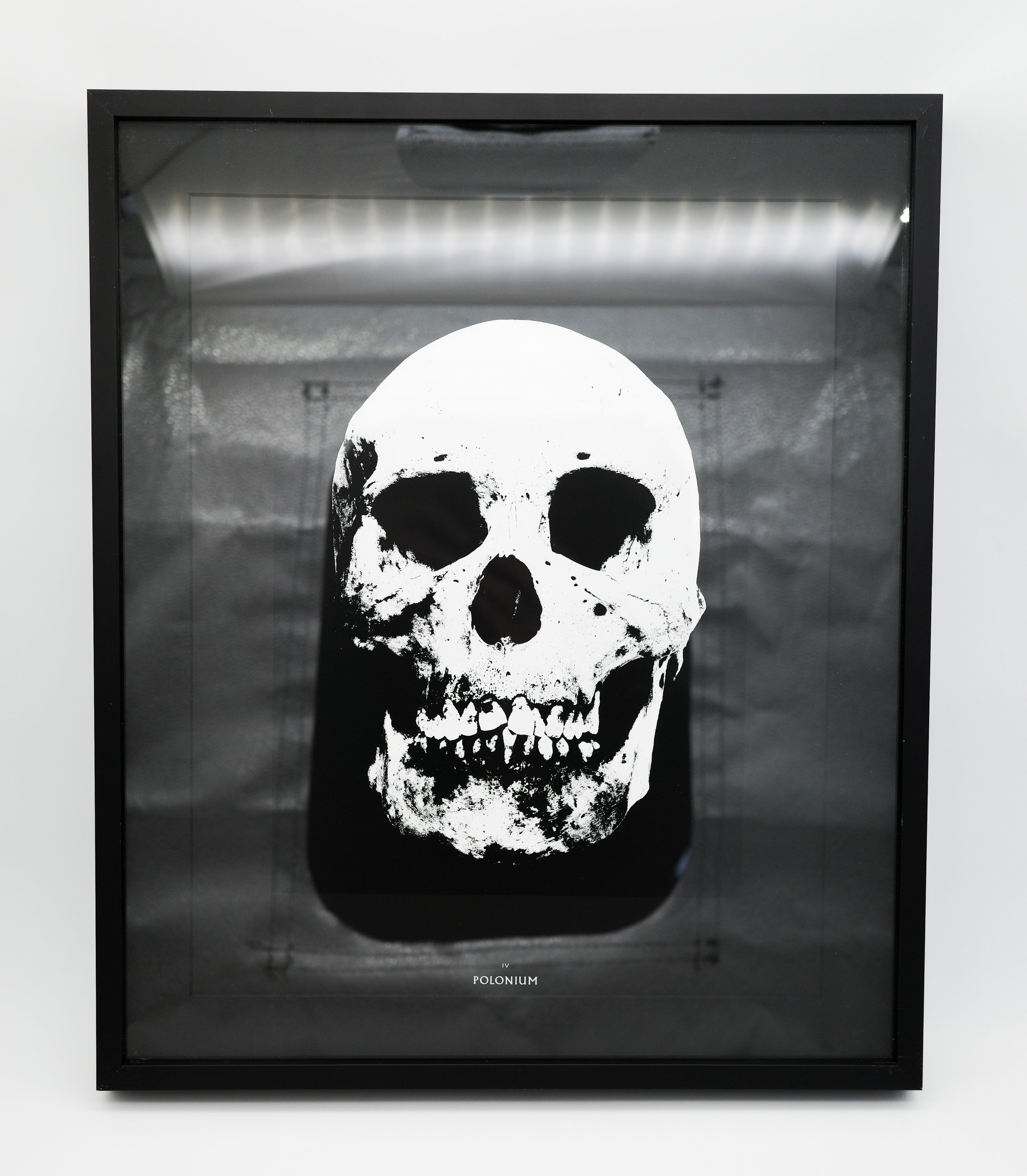 IV: Polonium: Damien Hirst