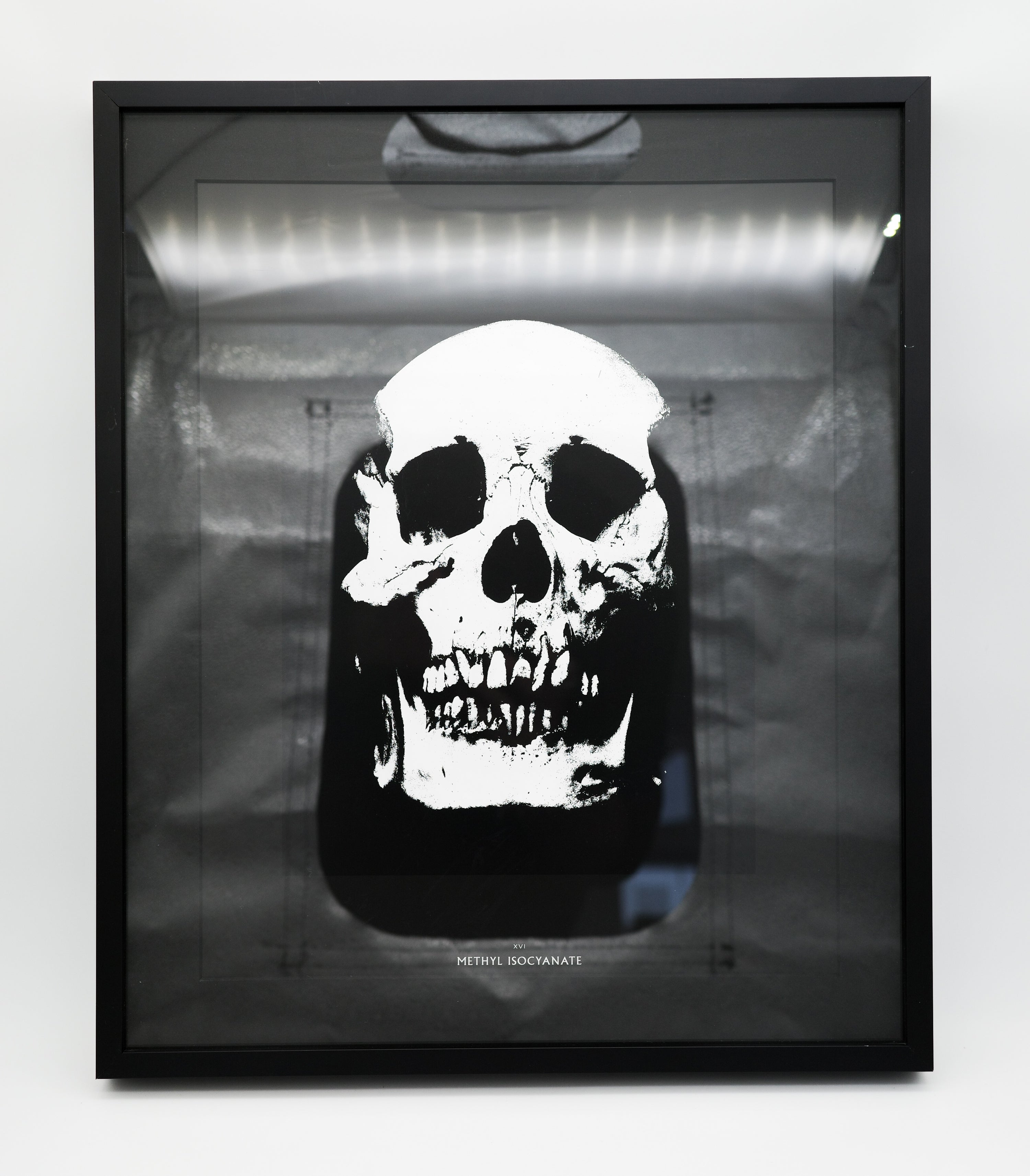 XVI: Methyl Isocyanate: Damien Hirst