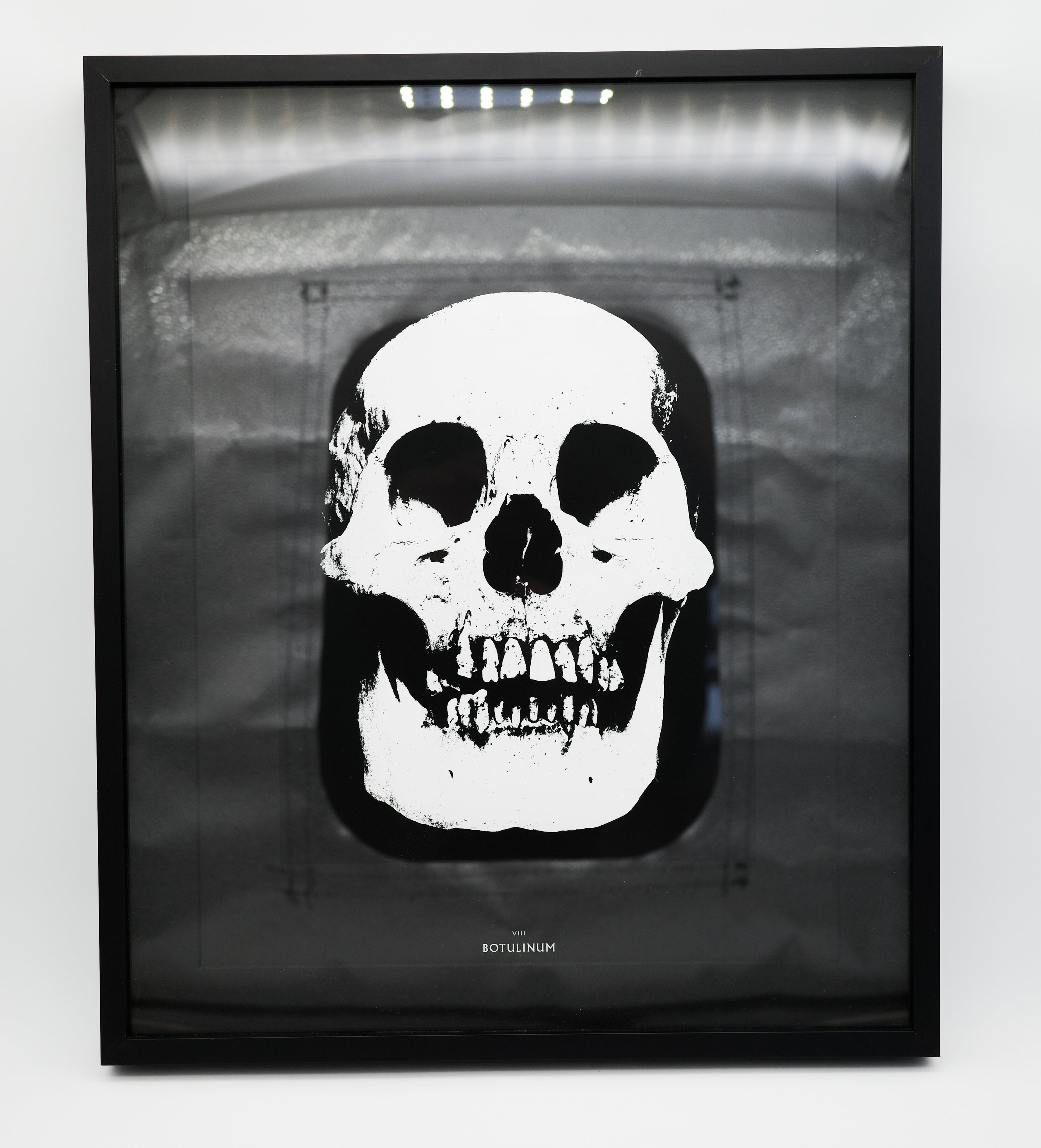 VIII: Botulinum: Damien Hirst