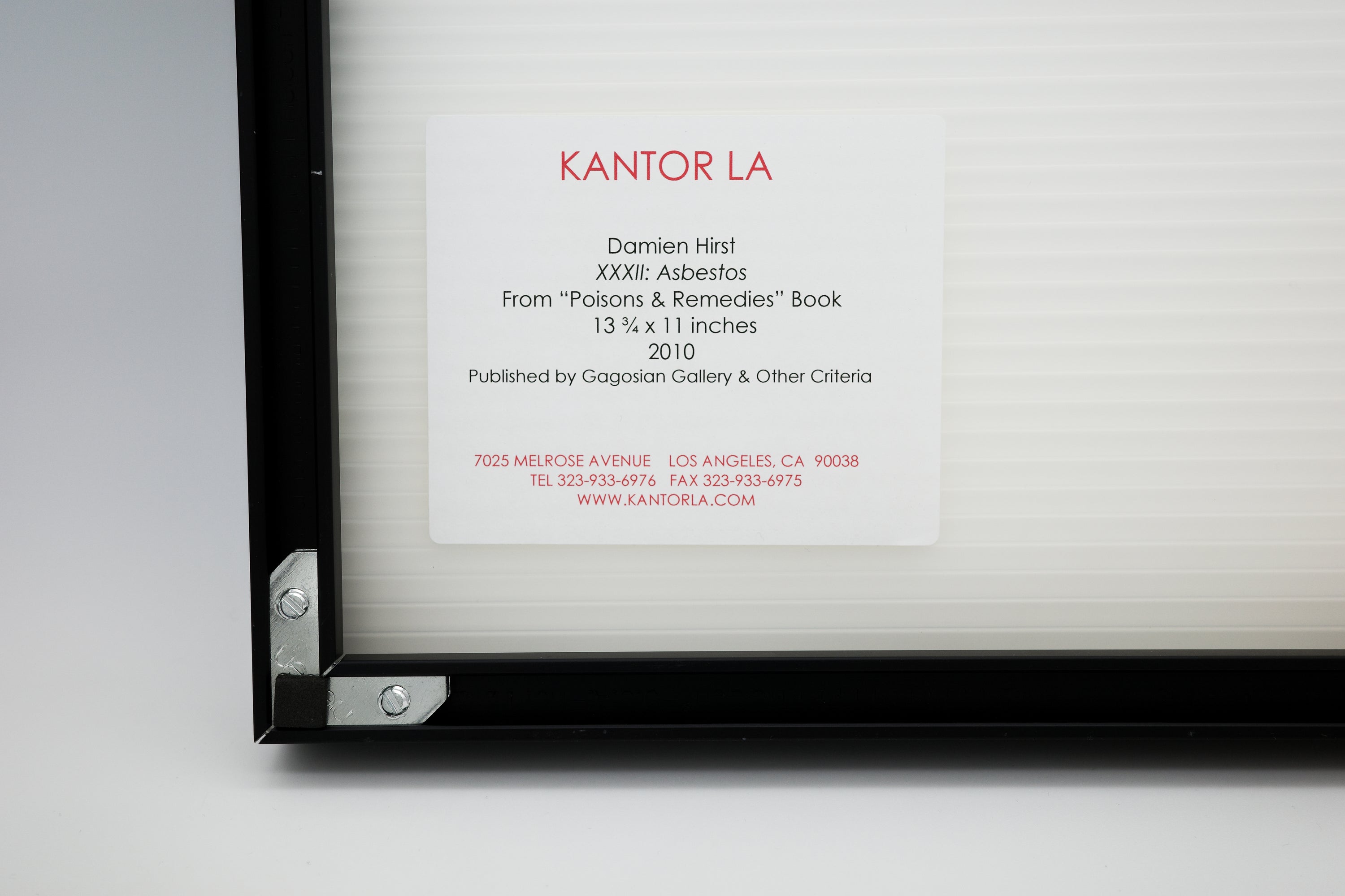 XXXII: Asbestos: Damien Hirst