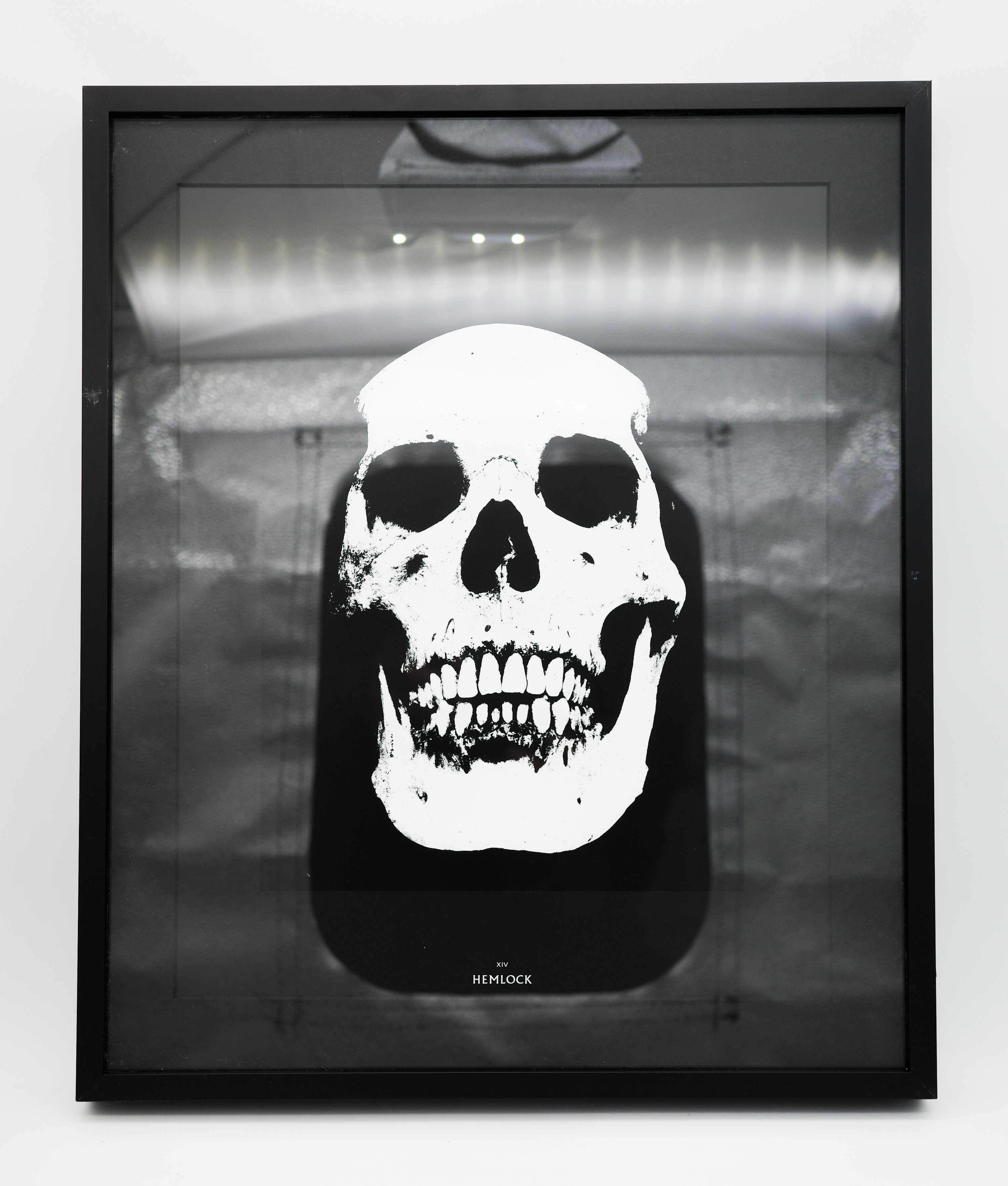 XIV: Hemlock: Damien Hirst