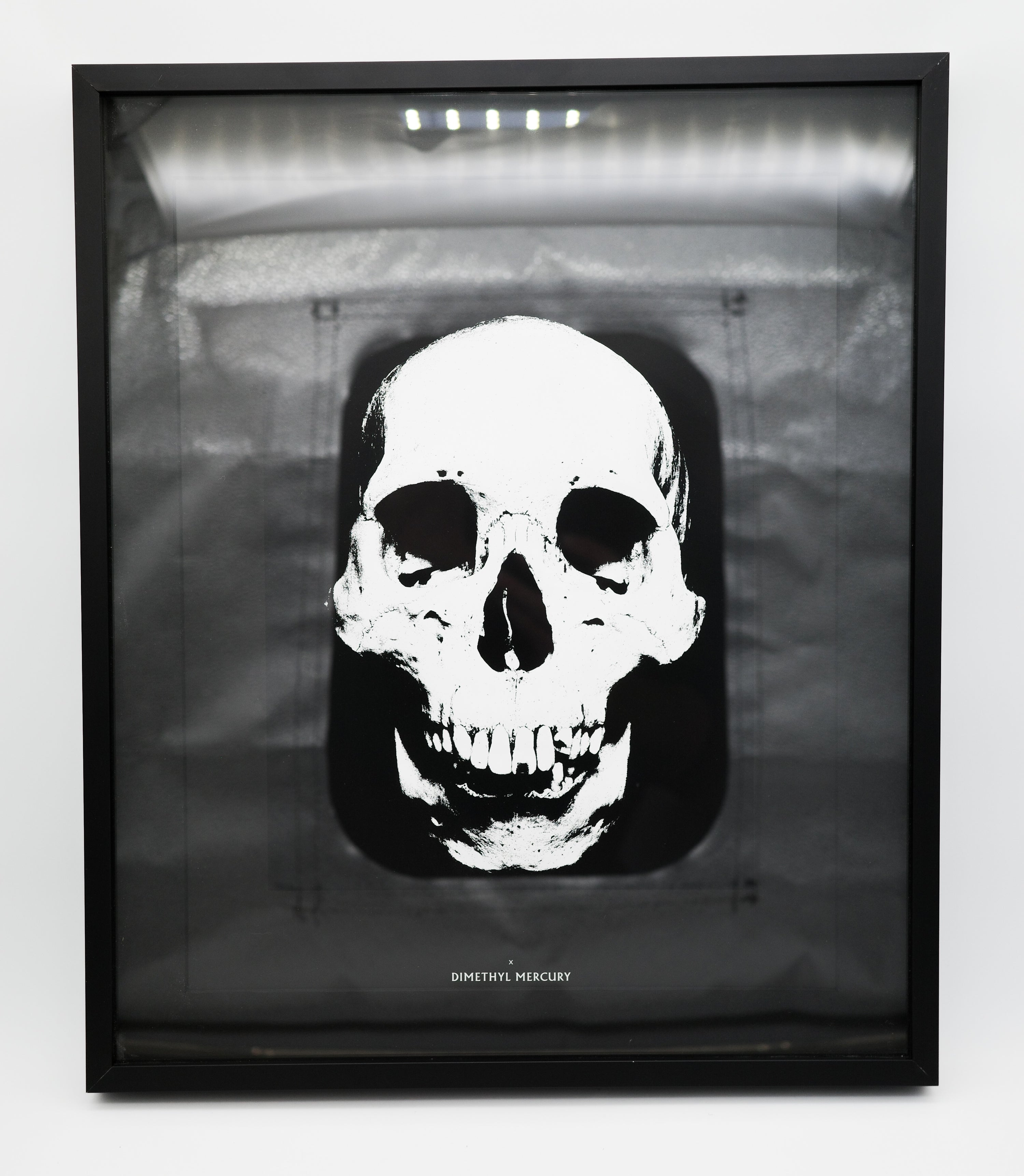 X: Dimethyl Mercury: Damien Hirst