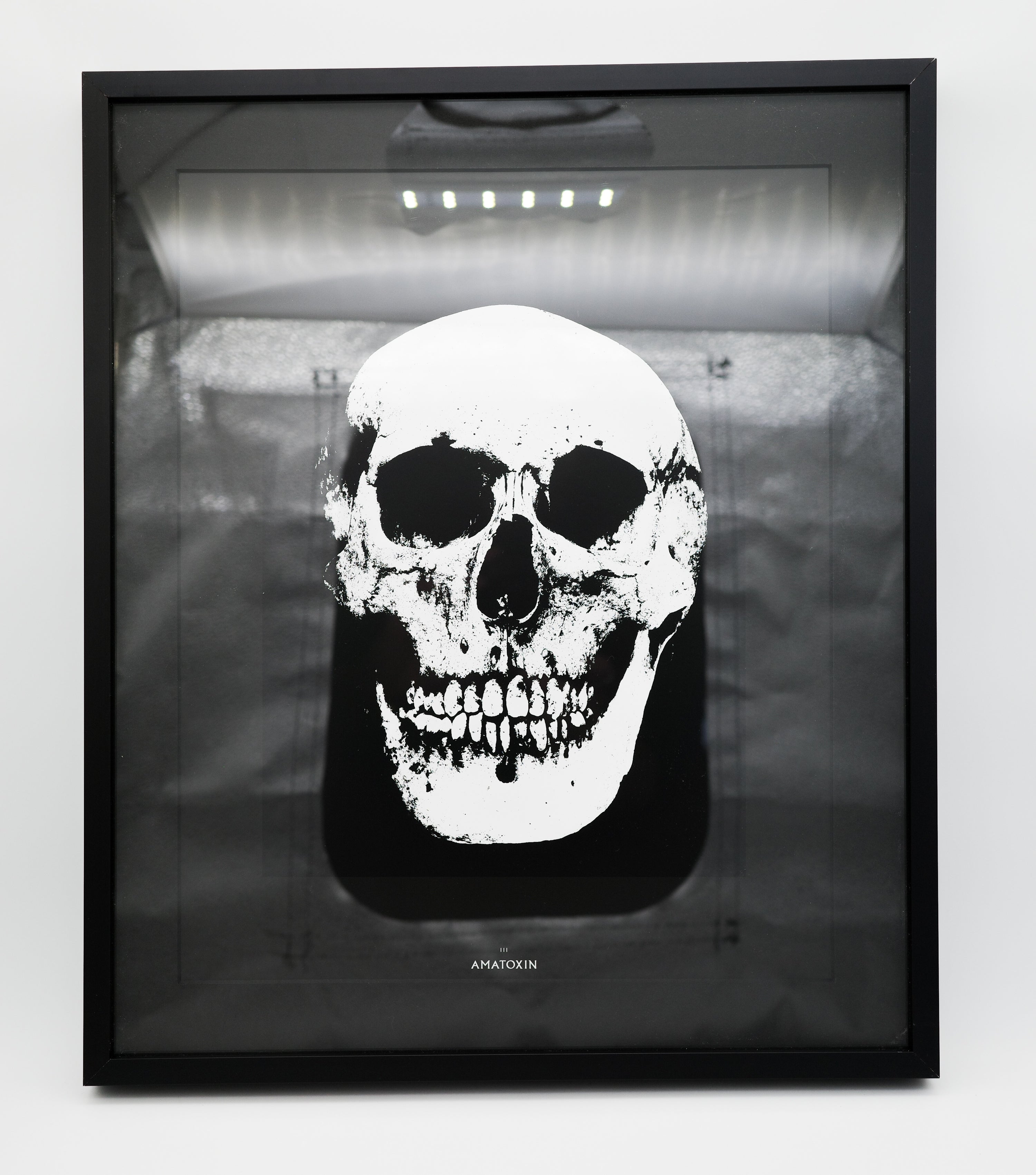 III: Amatoxin: Damien Hirst
