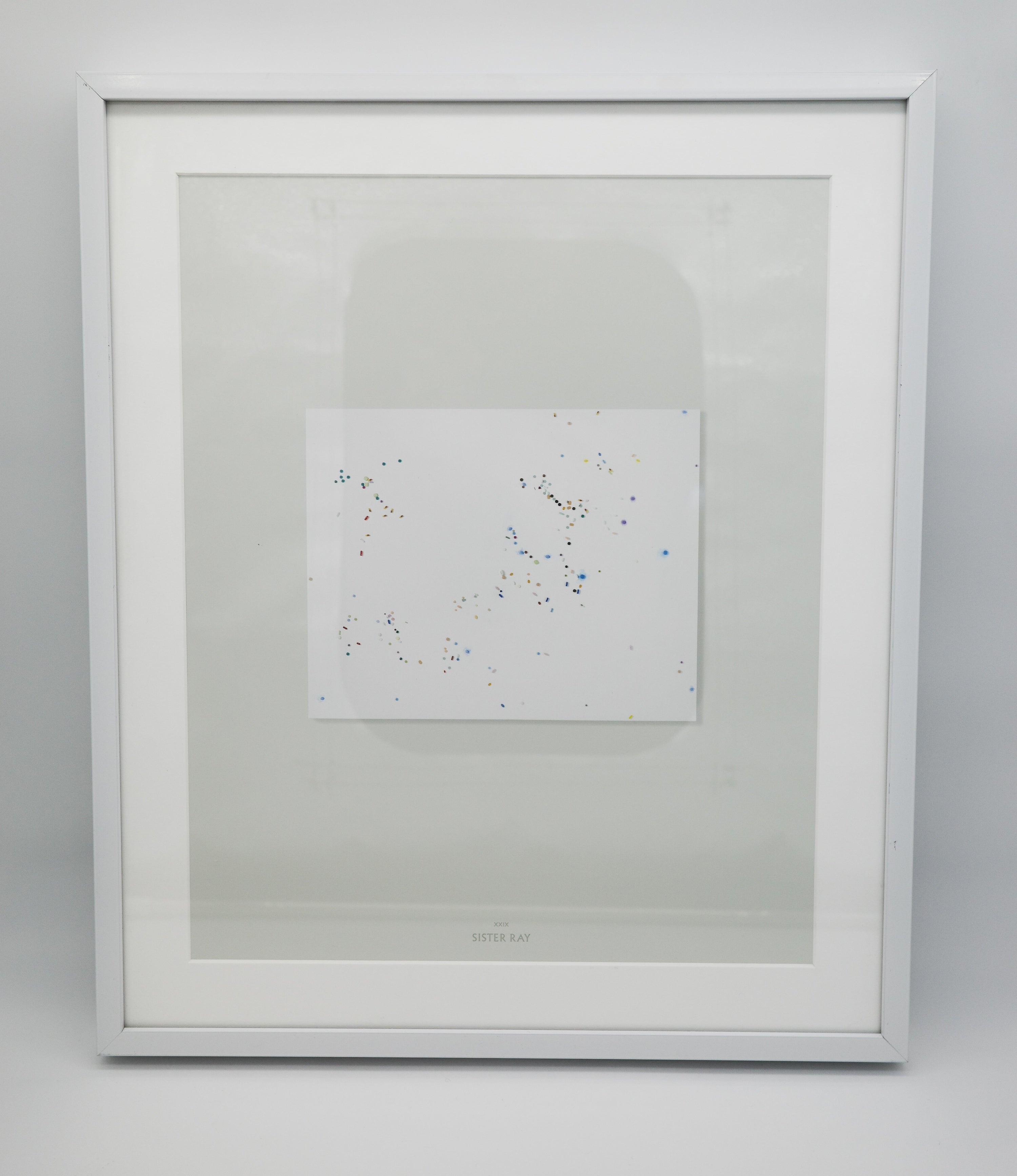 XXIX: Sister Ray: Damien Hirst