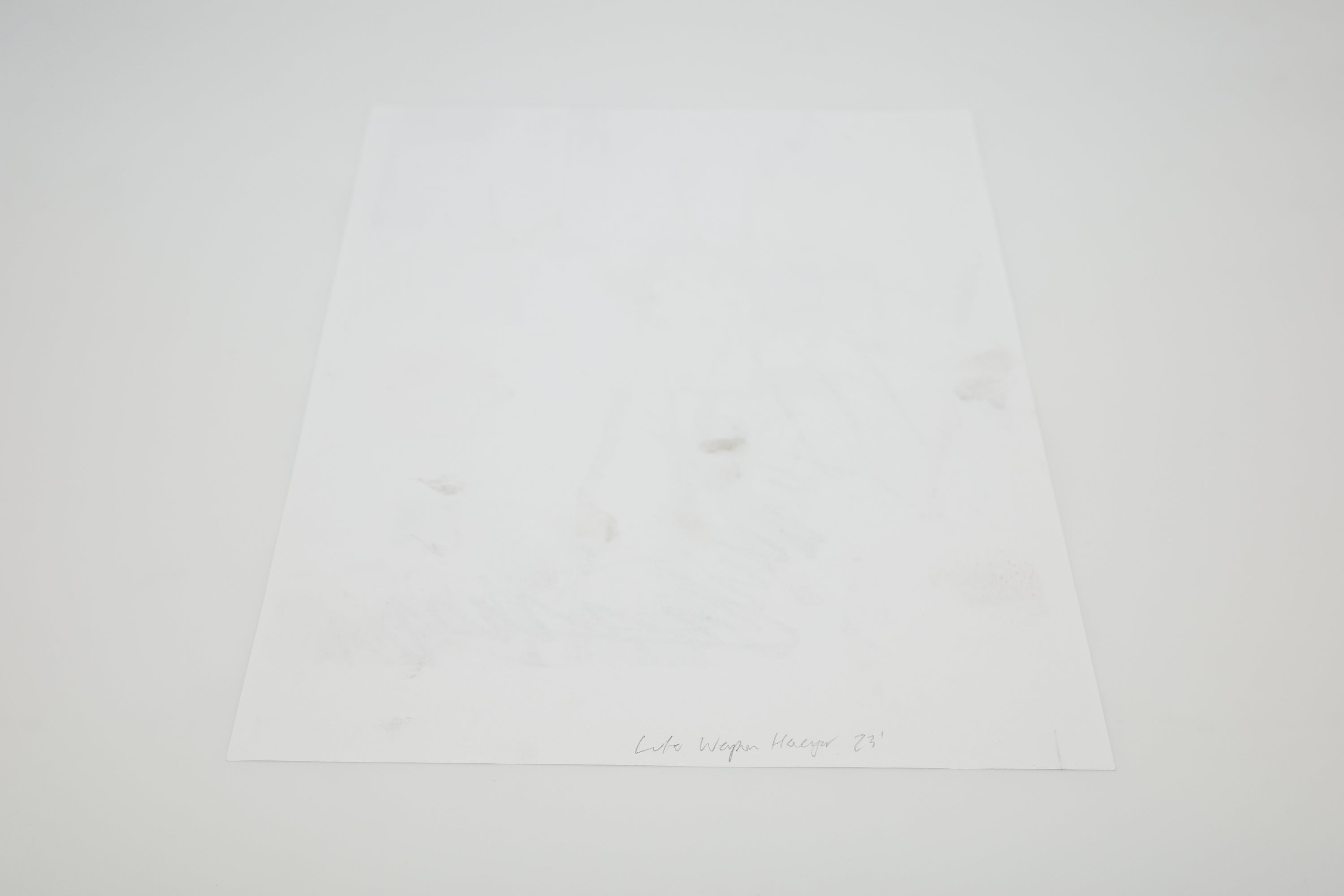 Skidmark, 2024 - Luke Haeger